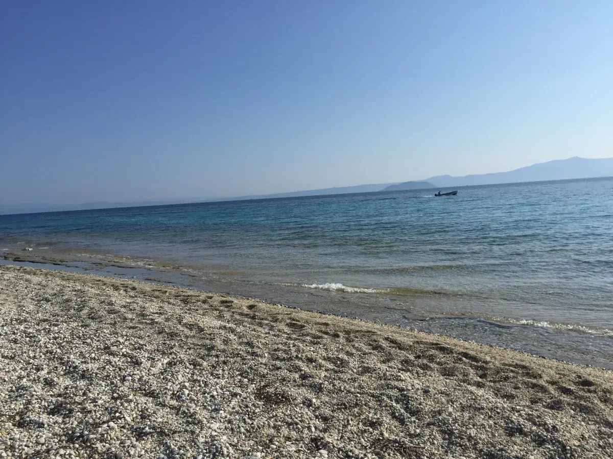 Κασσάνδρα